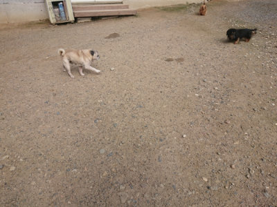 f:id:roukenhome-ann:20190711120555j:plain