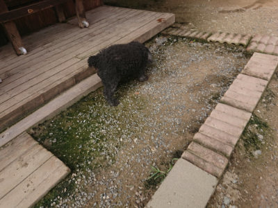 f:id:roukenhome-ann:20190711120559j:plain