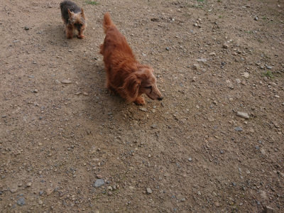 f:id:roukenhome-ann:20190711120612j:plain