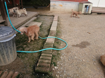f:id:roukenhome-ann:20190711120617j:plain