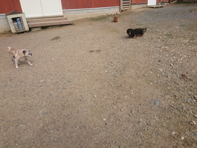 f:id:roukenhome-ann:20190711120621j:plain