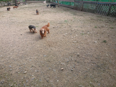 f:id:roukenhome-ann:20190711120631j:plain