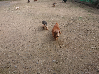 f:id:roukenhome-ann:20190711120636j:plain