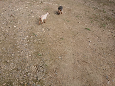 f:id:roukenhome-ann:20190711120642j:plain