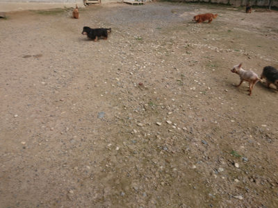 f:id:roukenhome-ann:20190711120647j:plain