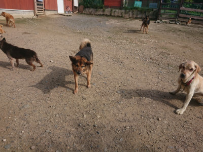 f:id:roukenhome-ann:20190711120737j:plain