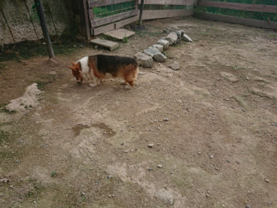 f:id:roukenhome-ann:20190711120847j:plain