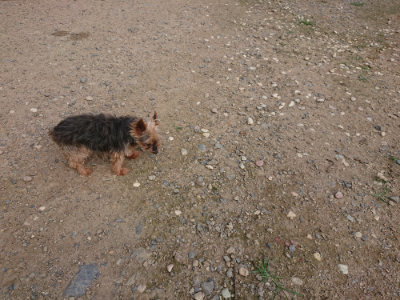 f:id:roukenhome-ann:20190711120855j:plain
