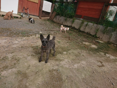 f:id:roukenhome-ann:20190711120904j:plain