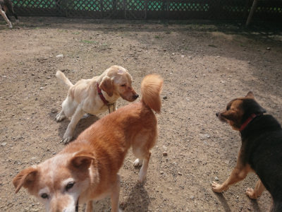 f:id:roukenhome-ann:20190711120909j:plain
