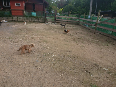 f:id:roukenhome-ann:20190711120917j:plain