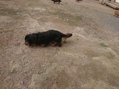 f:id:roukenhome-ann:20190711120922j:plain