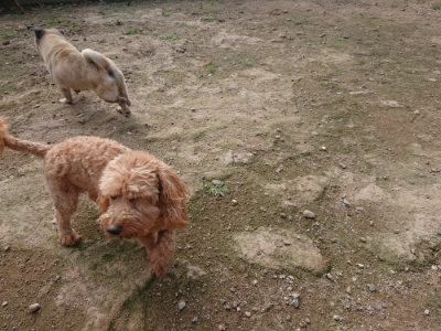 f:id:roukenhome-ann:20190711120941j:plain