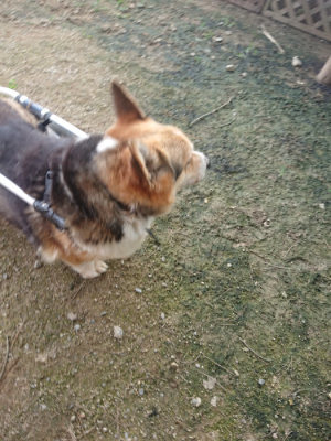 f:id:roukenhome-ann:20190711120957j:plain