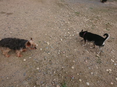 f:id:roukenhome-ann:20190711121043j:plain