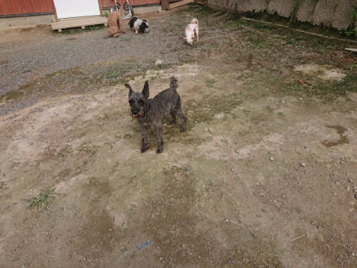 f:id:roukenhome-ann:20190711121053j:plain