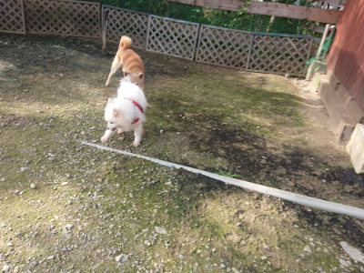 f:id:roukenhome-ann:20190711121103j:plain