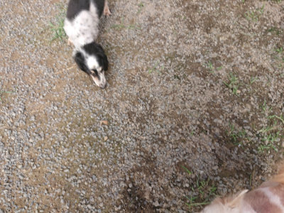 f:id:roukenhome-ann:20190711121109j:plain
