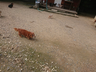 f:id:roukenhome-ann:20190711121114j:plain