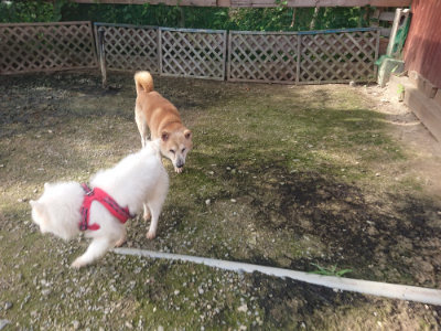 f:id:roukenhome-ann:20190711121119j:plain
