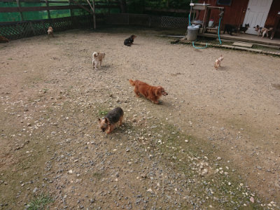 f:id:roukenhome-ann:20190711121143j:plain