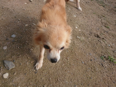 f:id:roukenhome-ann:20190711121149j:plain