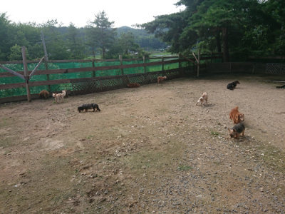 f:id:roukenhome-ann:20190711121206j:plain