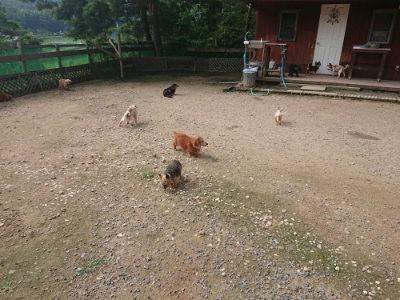 f:id:roukenhome-ann:20190711121211j:plain
