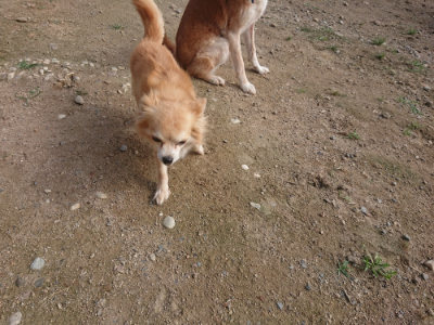 f:id:roukenhome-ann:20190711121215j:plain