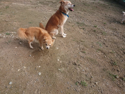 f:id:roukenhome-ann:20190711121237j:plain