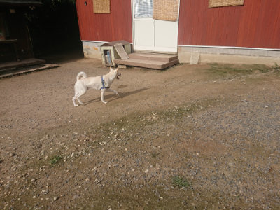 f:id:roukenhome-ann:20190711121428j:plain