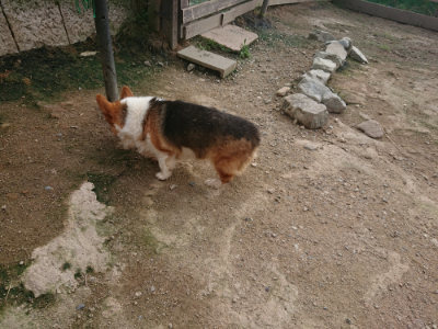 f:id:roukenhome-ann:20190711121449j:plain
