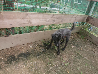 f:id:roukenhome-ann:20190711121518j:plain