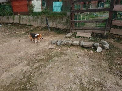 f:id:roukenhome-ann:20190711121523j:plain