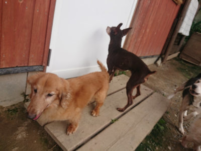 f:id:roukenhome-ann:20190711121744j:plain