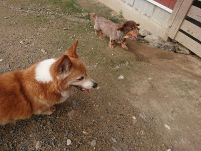 f:id:roukenhome-ann:20190711121748j:plain