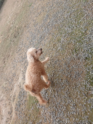 f:id:roukenhome-ann:20190711121824j:plain