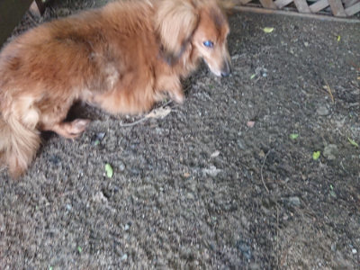 f:id:roukenhome-ann:20190711121833j:plain