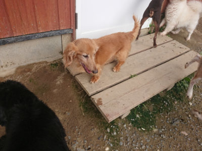 f:id:roukenhome-ann:20190711121849j:plain