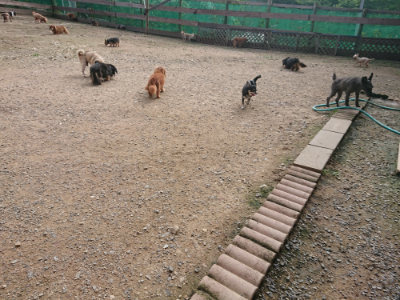 f:id:roukenhome-ann:20190711122041j:plain