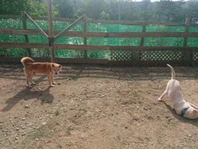 f:id:roukenhome-ann:20190711122045j:plain