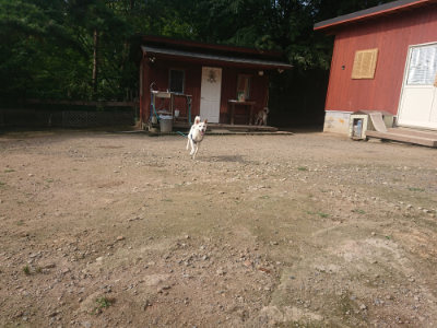 f:id:roukenhome-ann:20190711122059j:plain