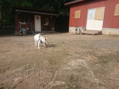 f:id:roukenhome-ann:20190711122103j:plain