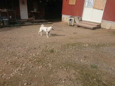 f:id:roukenhome-ann:20190711122108j:plain