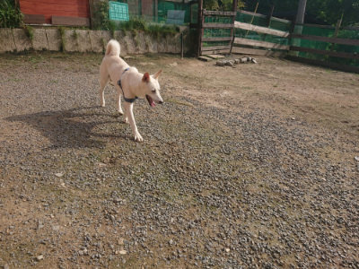 f:id:roukenhome-ann:20190711122113j:plain