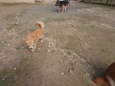 f:id:roukenhome-ann:20190711122118j:plain