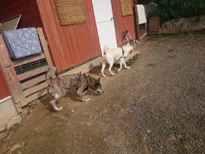f:id:roukenhome-ann:20190711122125j:plain