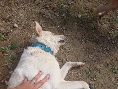 f:id:roukenhome-ann:20190711122208j:plain