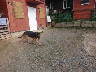 f:id:roukenhome-ann:20190711122239j:plain