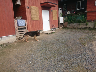 f:id:roukenhome-ann:20190711122253j:plain